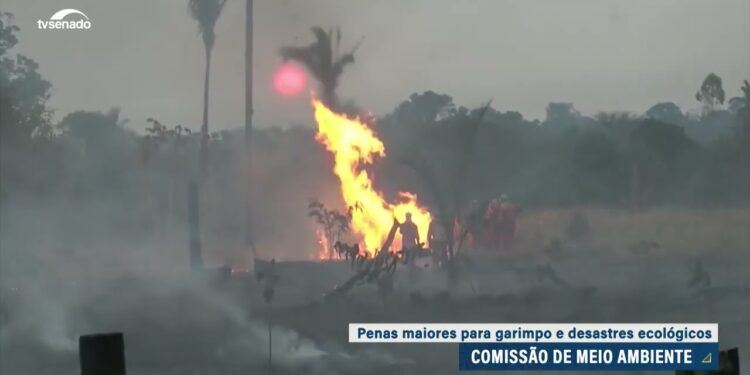CMA aprova penas maiores para garimpo ilegal e desastres ambientais — Senado Notícias