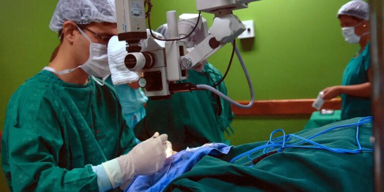 Exames são importantes para diagnóstico do câncer de intestino