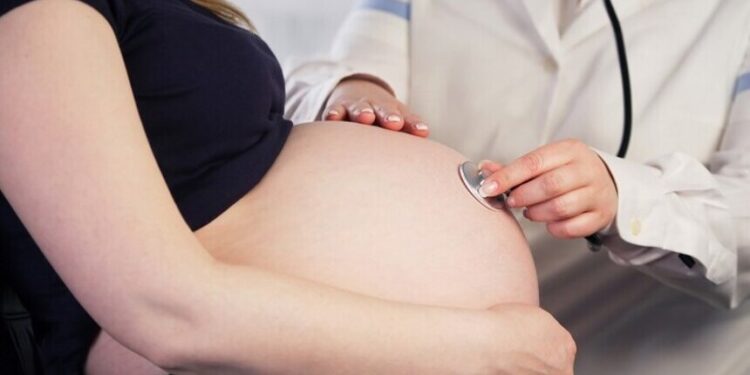 CAS debate semana de conscientização sobre os cuidados com grávidas e mães — Senado Notícias