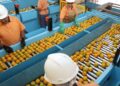 Confira a lista de quase 700 produtos que não serão taxados pelos EUA