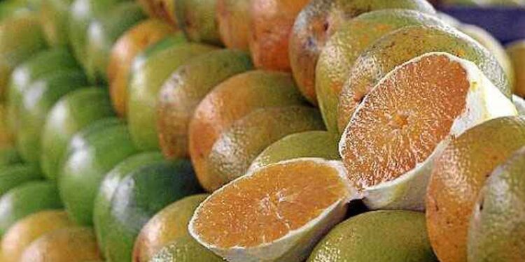 Exceções do tarifaço representam 43,4% do valor exportado aos EUA