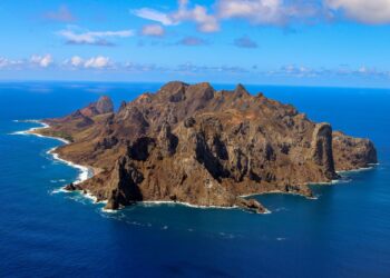 Ilha capixaba aumenta flora nativa e é modelo de restauração ambiental