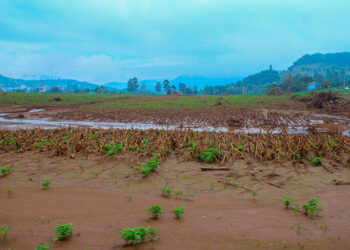Senado deve analisar Fundo Social do pré-sal para agricultores em calamidades — Senado Notícias