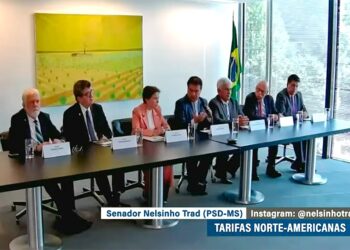 Senadores encerram missão nos Estados Unidos com apoio e preocupações — Senado Notícias