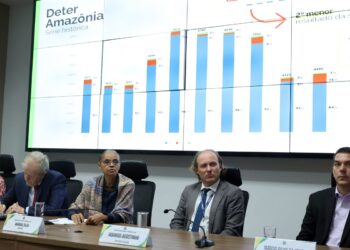 Em 12 meses, desmatamento cai 20% no Cerrado e sobe 4% na Amazônia