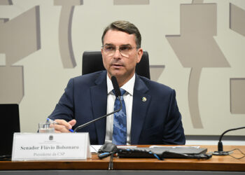 Recompensa por apreensão de armas ilegais pode ser votada na CSP — Senado Notícias