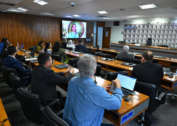 Exclusividade para exercício da psicoterapia divide debatedores na CDH — Senado Notícias