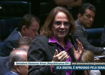 Plenário aprova a proteção às crianças nas plataformas digitais — Senado Notícias