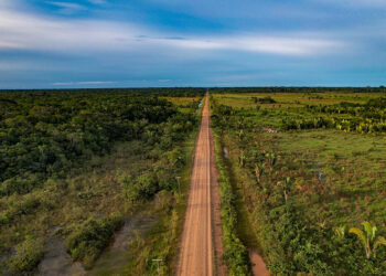 MP coloca em vigência a licença ambiental especial para ‘obras estratégicas’ — Senado Notícias