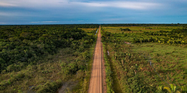 MP coloca em vigência a licença ambiental especial para ‘obras estratégicas’ — Senado Notícias
