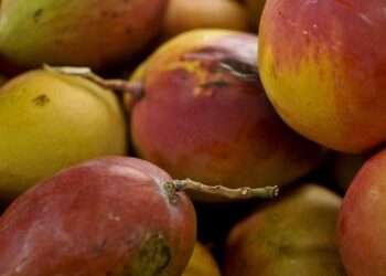 Abrafrutas apoia plano e pede atenção a pequenos produtores