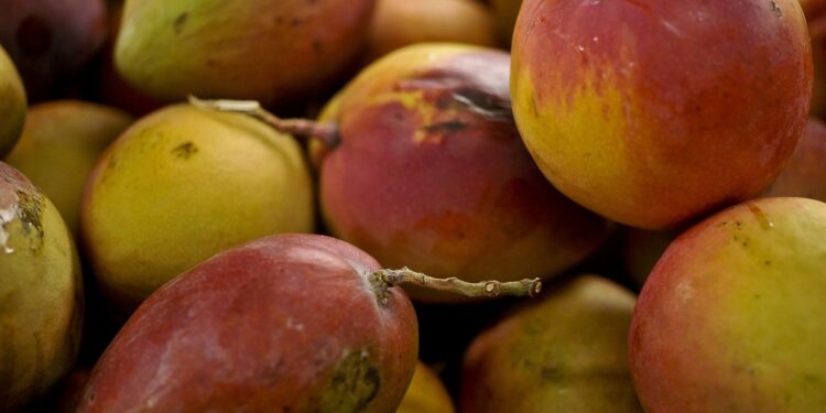 Abrafrutas apoia plano e pede atenção a pequenos produtores