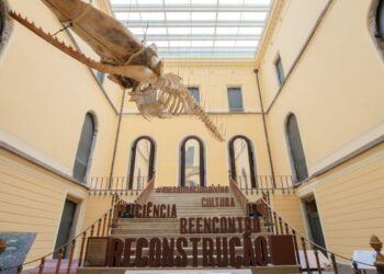 Museu Nacional realiza no domingo sétima edição de festival