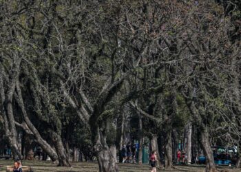 Cidade de São Paulo tem agosto mais seco desde 2020