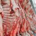 Exportação de carne bovina bate recorde em mês anterior ao tarifaço