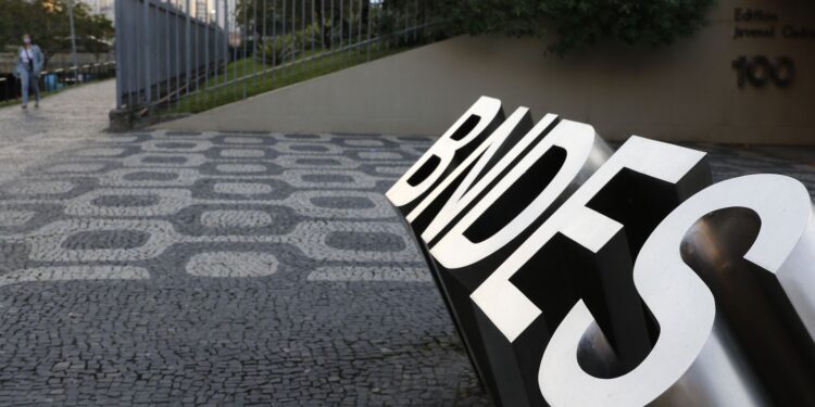 BNDES busca gestor para projetos de preservação de biomas