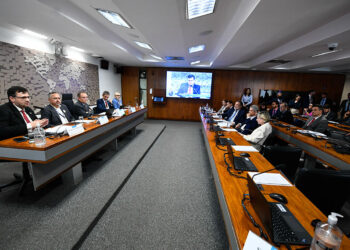 Brasil espera combater mudanças climáticas de forma equilibrada e viável, dizem especialistas — Senado Notícias