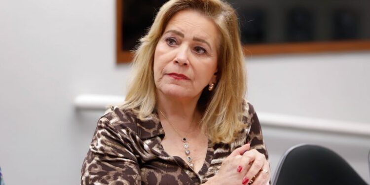 Comissão aprova projeto que prevê playground para crianças ao lado de academias públicas – Notícias