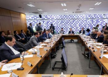 Câmara apresenta texto sobre adultização infantil nas redes em 30 dias