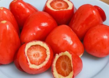 Conselho Federal de Odontologia alerta sobre riscos do morango do amor