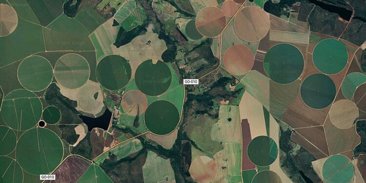 Suspensão da Moratória da Soja pelo Cade preocupa Meio Ambiente