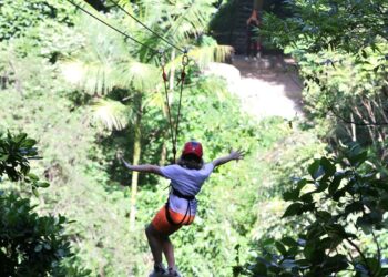 Gestores aprovam modelo de concessão de parques naturais e urbanos