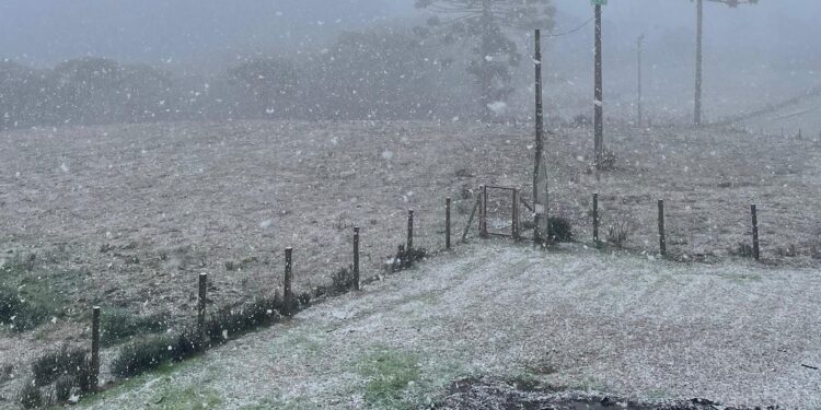 Rio Grande do Sul registra neve em algumas localidades