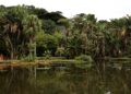 Concurso de Fotografia integra programação do Dia Mundial da Limpeza