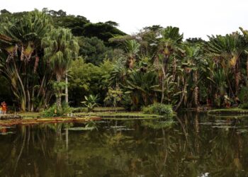 Concurso de Fotografia integra programação do Dia Mundial da Limpeza