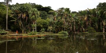 Concurso de Fotografia integra programação do Dia Mundial da Limpeza
