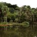 Concurso de Fotografia integra programação do Dia Mundial da Limpeza