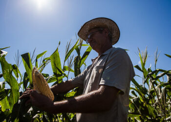 CRA vota maior proteção para produtores contra perdas por seca ou chuva — Senado Notícias