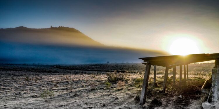 Governo abre crédito de R$ 12 bilhões para produtores rurais