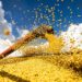 Valor da produção agrícola brasileira recua 3,9% em 2024, mostra IBGE