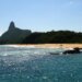 Ilhas brasileiras: estudo revela presença de espécies exclusivas