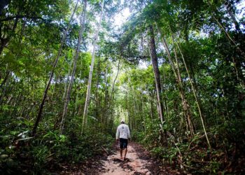 Política Nacional de Reforma Agrária é tema de debate na CRA na quarta — Senado Notícias