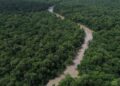 Programação do Dia da Amazônia mobiliza para COP30