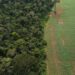 Estados e DF devem padronizar Autorização de Supressão de Vegetação