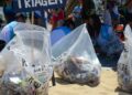 Mutirões marcam a passagem do Dia Mundial da Limpeza