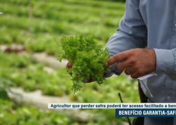 Senado aprova mudanças no benefício garantia-safra — Senado Notícias