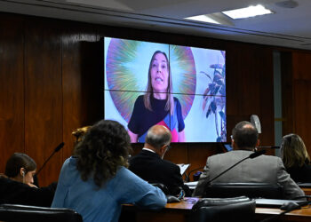 Subcomissão debate Convenção da Haia e casos de violência — Senado Notícias