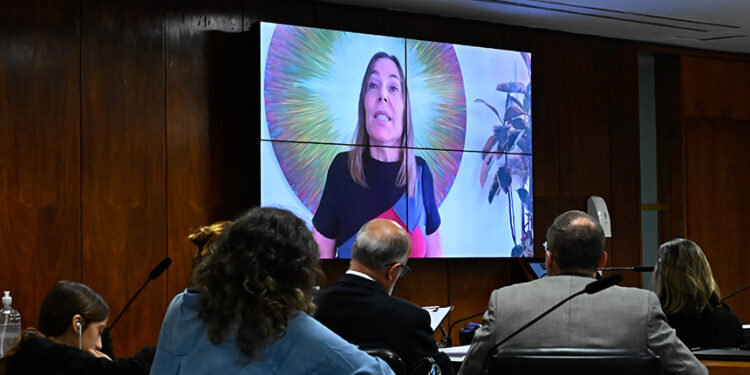 Subcomissão debate Convenção da Haia e casos de violência — Senado Notícias