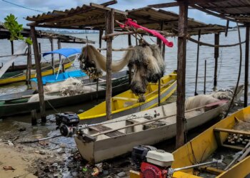 Gestão do seguro-defeso passará para Ministério do Trabalho em outubro