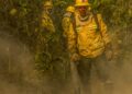 Fotógrafo da Agência Brasil é destaque em prêmio internacional
