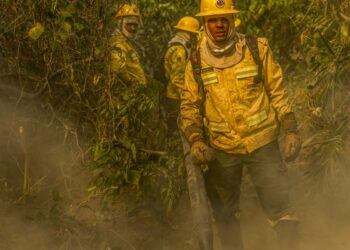 Fotógrafo da Agência Brasil é destaque em prêmio internacional
