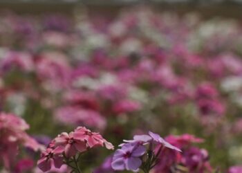 Primavera começa com chegada de frente fria, temporais e fortes ventos