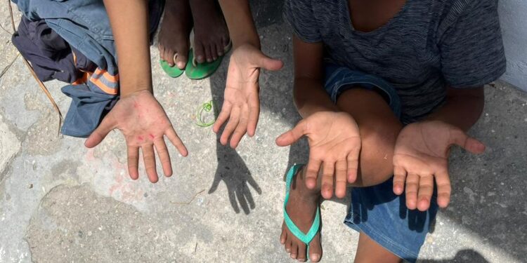 ONG alerta para alta do trabalho infantil entre crianças de 5 a 9 anos