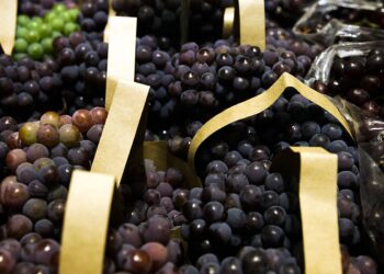 BNDES aprova R$ 1,2 bi para empresas afetadas pelo tarifaço