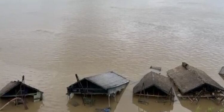 CDH apura denúncias de abuso contra famílias de ribeirinhos garimpeiros no AM — Senado Notícias