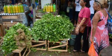 Mercado do Povo levará mercados modulares a pequenas cidades